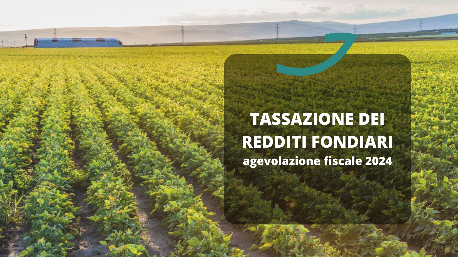 tassazione redditi agricoltura